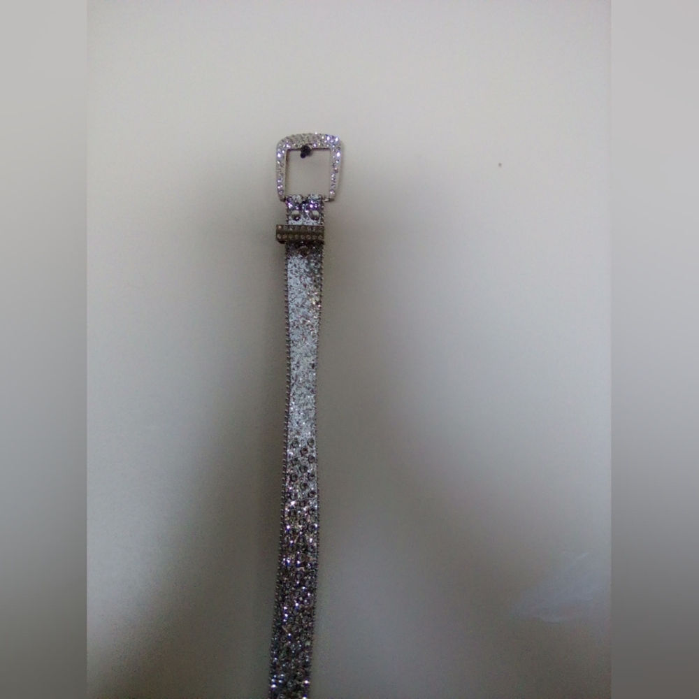 Sparkling Silver Belt 40" - Picture 5 of 8